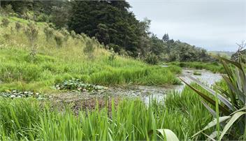 Helena Bay Nature Hideaway - Whangarei