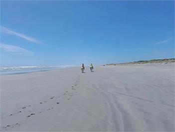 Immerse yourself in the West Coast native flora and fauna - swimming, sunsets and tranquility - Westport