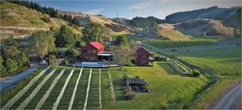 Kiwiesque - Luxury Lodge Vineyard Accommodation - Napier