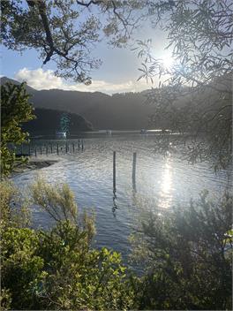 Retreat at Duncan Bay - Duncan Bay