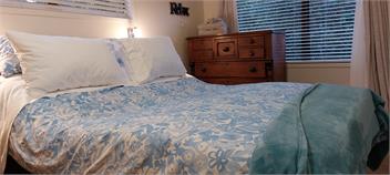 Beach Retreat - WHITIANGA