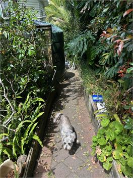Oasis Hideaway - Waiheke Island