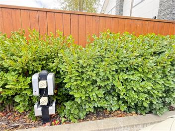 Freyberg - Hagley Park doorstep - Bookahome - Christchurch