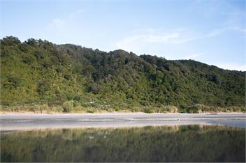 Nikau Beach holiday house - 