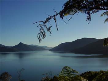 Sunny Family Style Bach/Holiday Home - Marlborough Sounds