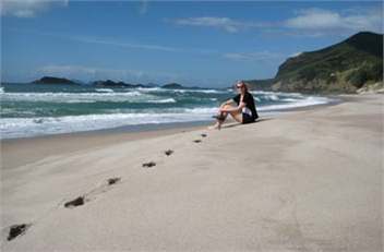 Shores - Manaia apartment - Self Catering  - Whangarei