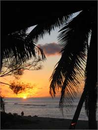 Heron's Reef Ferns Studio Apartment - Rarotonga