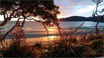 THE BEACH HOUSE - Great Barrier Island