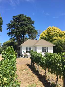 Tuki Vineyard Cottage luxury accommodation - Havelock North