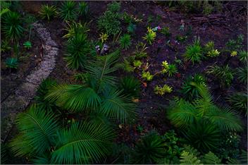 Treetops - Paihia