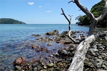 TePea Lodge   - Great Barrier Island