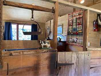 Blue Duck Farm Woolshed - Kaikoura district