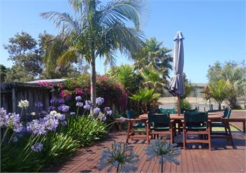 SHEARWATER BEACH HOUSE - Matarangi Beach