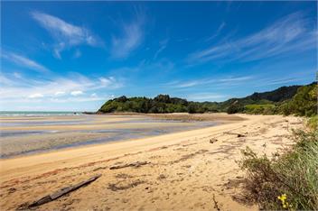 Beachaven: Two Cottages, Wifi & Kayaks Free. - 