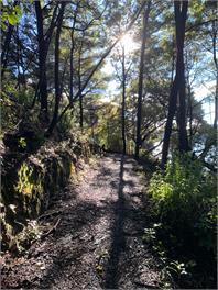 Kutakuta in Ngakuta - Picton