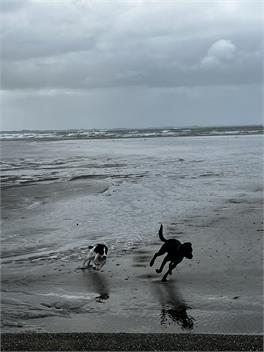 Riverton Rocks getaway - spectacular sea views and pet friendly - Riverton