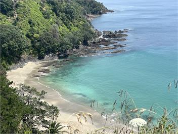 Sunny & Spacious Palm Beach Studio - Waiheke