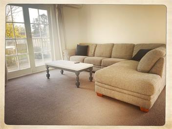 Honey Bee Cottage - Lower Moutere