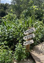 Helena Bay Nature Hideaway - Whangarei