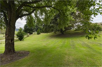 Valley View Retreat - Gisborne