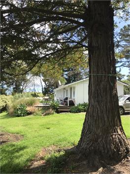 Redwood Cottage POURERERE BEACH - Waipawa