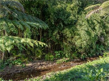 Valley Hideaway (Bachcare) - Kuaotunu