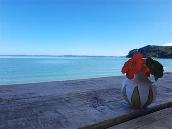 ABSOLUTE BEACH FRONT - Auckland 2585