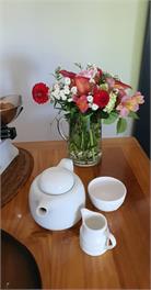 Dragonflycottagebnb - Blenheim 