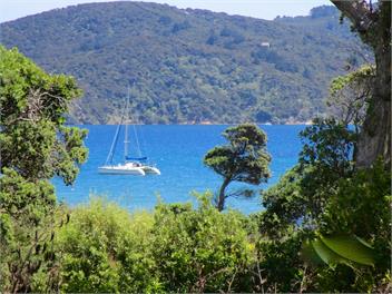 MulberryGrove Retreat - Great Barrier Island (Aotea Is