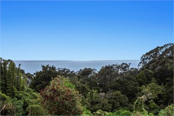 Treetop Hideaway (Bachcare) - Ohope