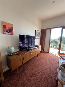 Mid Century Beauty - Christchurch