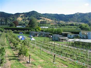 FRASERS ORCHARD (YOUR OWN PRIVATE ACCOMMODATION AND CAMPING GROUND $350 PER NIGHT TOTAL FOR 16 PEOPLE - Motueka