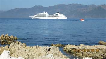 The Palace - Kaikoura