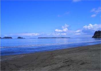 Siesta, Martins Bay - 5 minute walk to beach, close to Matakana - Warkworth