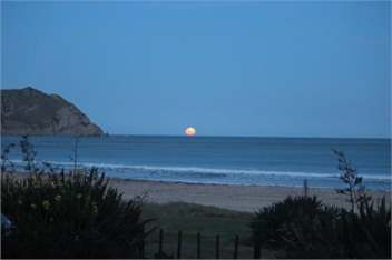 Anaura Bay Absolute Beachfront Retreat - Cottage # 3 -