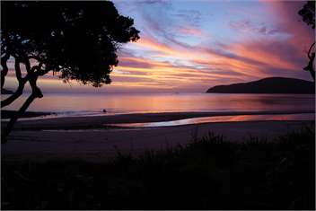 THE BEACH HOUSE - Great Barrier Island