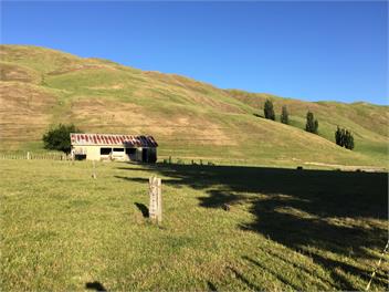 Savana Estate Chalet 3 - Hastings