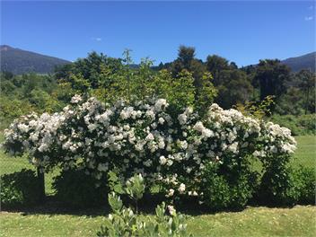 Trout House - 2 Master bedrooms with ensuites - Turangi