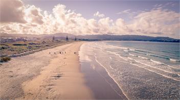 PIPS PLACE - Matakana