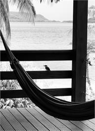 Havannah Harbour Beach Cottage - Port Vila Vanuatu