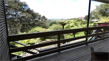 Explore bush and beach - Auckland
