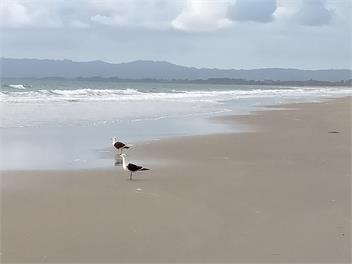 Clunead, Ruakaka - Ruakaka