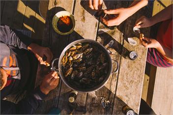 Kina Hut - Stay Anakoha - marlborough sounds