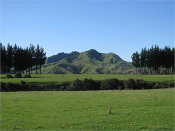 Moeraki Station - Holiday House - Martinborough