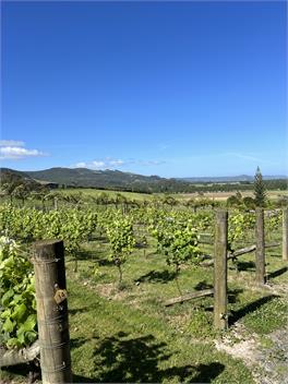 Okahu Vineyard Stay - Northland