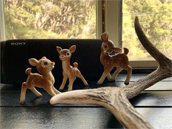 ***LONGSPUR ECO COTTAGE*** - South Wairarapa