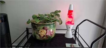 City Haven with Spa - Pets Welcome - Nelson