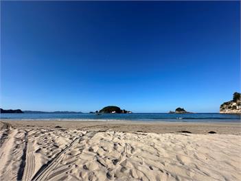 Hosts on the Coast Black Bach - Hahei