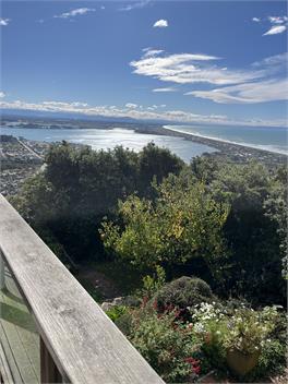 Mid Century Beauty - Christchurch