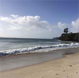 The Beach House Waipu Cove -
